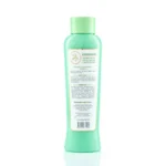 Acondicionador con Extractos de Ginseng Aloe Vera ANYELUZ - Imagen 3