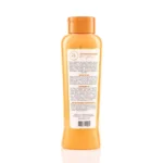 Acondicionador con Gingseng ANYELUZ - Imagen 3